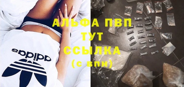 прущий лед Тында