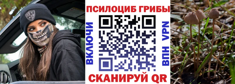 Псилоцибиновые грибы Cubensis  дарнет шоп  Шацк 